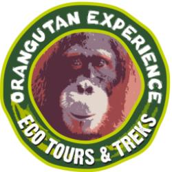 Orangutan Experience